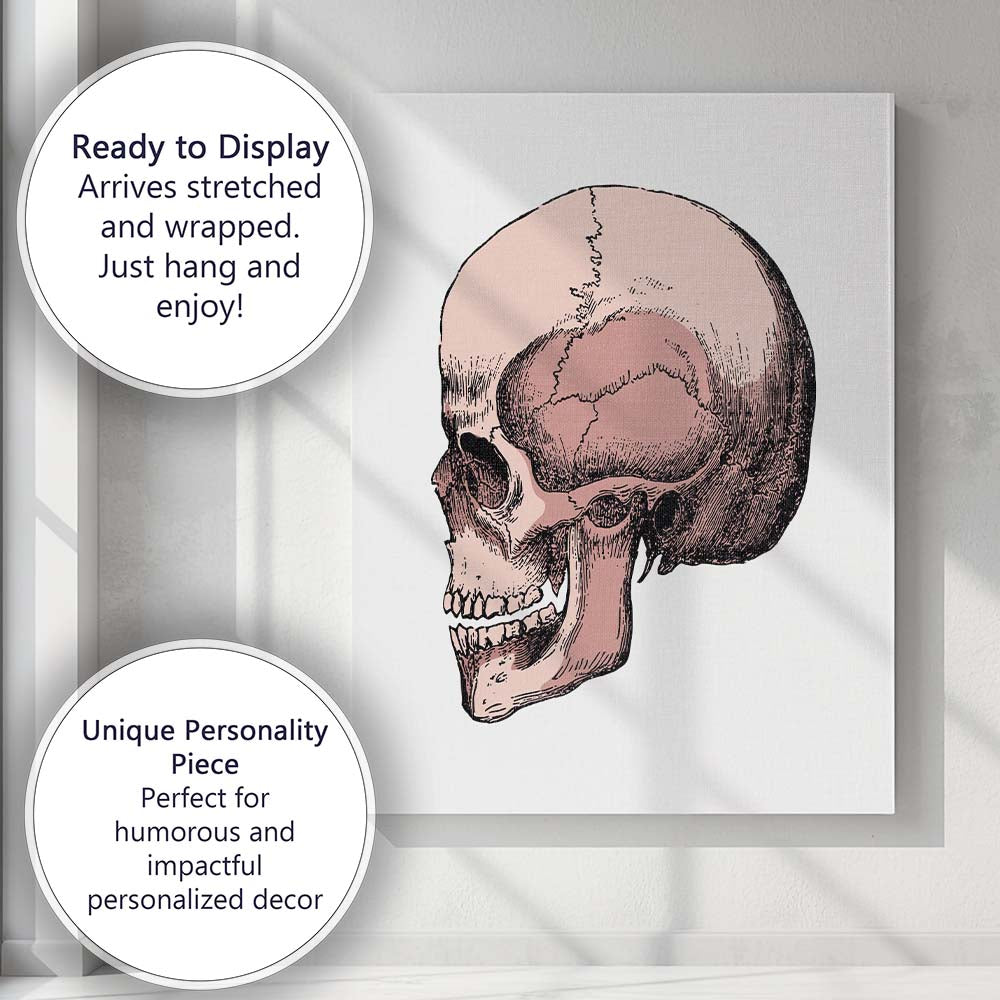 Pink Anatomical Skull Illustration Canvas Wall Art Print Decor Picture Ready to Hang