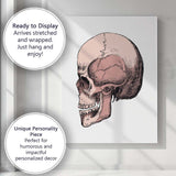 Pink Anatomical Skull Illustration Canvas Wall Art Print Decor Picture Ready to Hang