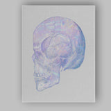 Pastel Iridescent Human Skull Anatomy Canvas Wall Art Print Decor Picture Ready to Hang