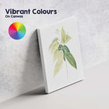 Green Botanical Leaf Study Illustration Canvas Wall Art Print Decor Picture Ready to Hang