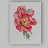 Pink Peony Close Up Botanical Flower Canvas Wall Art Print Decor Picture Ready to Hang