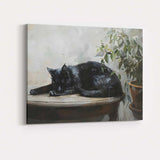Sleeping Black Cat Botanical Houseplant Contemporary Animal Canvas Wall Art Print Decor Picture Ready to Hang