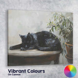 Sleeping Black Cat Botanical Houseplant Contemporary Animal Canvas Wall Art Print Decor Picture Ready to Hang