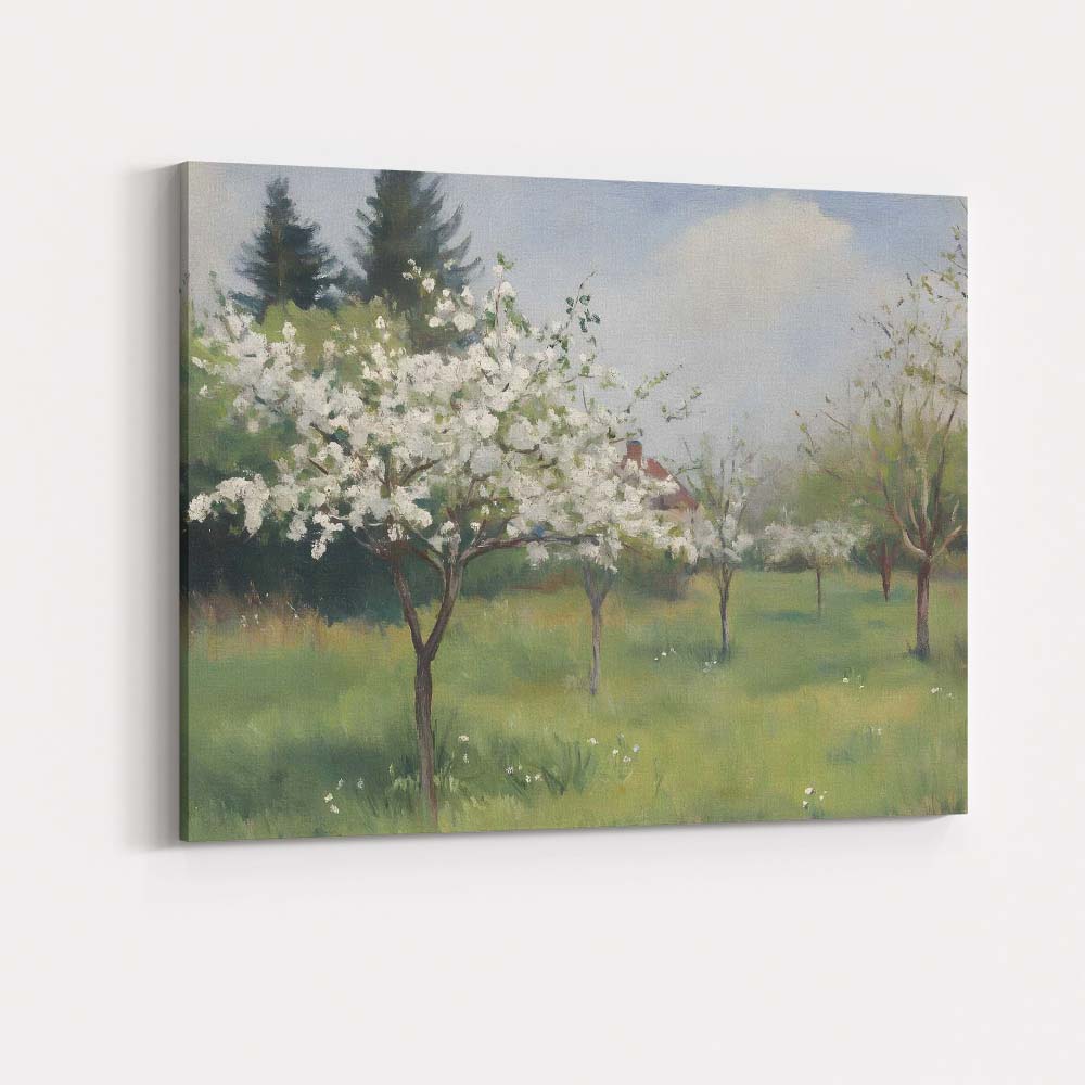 Spring Blossom Orchard White Flowering Trees Landscape Canvas Wall Art Print Decor Picture Ready to Hang