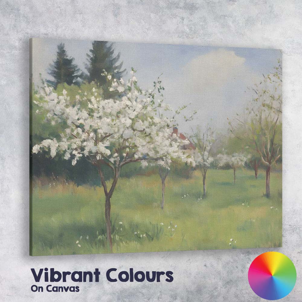 Spring Blossom Orchard White Flowering Trees Landscape Canvas Wall Art Print Decor Picture Ready to Hang
