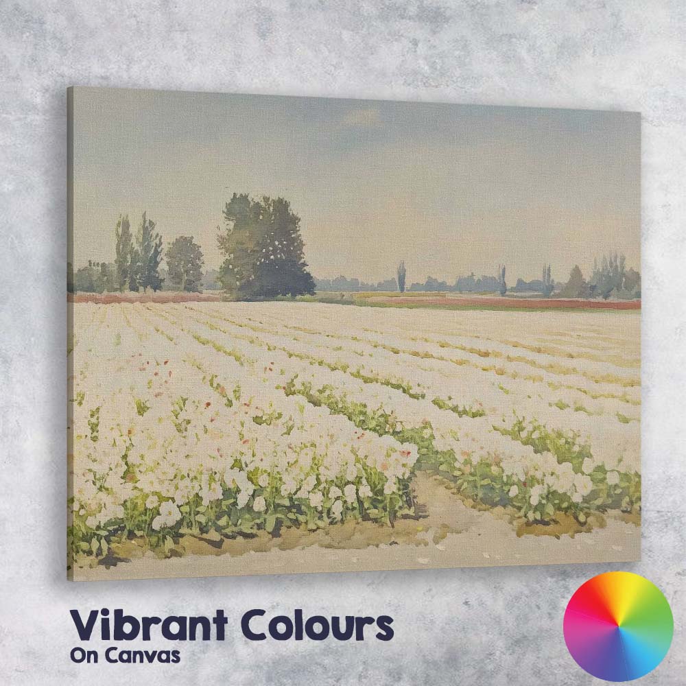 White Flower Field Rural Countryside Landscape Canvas Wall Art Print Decor Picture Ready to Hang