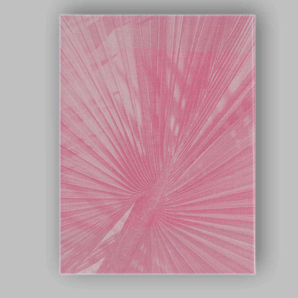 Pink Tropical Palm Leaf Botanical Minimal Photography Canvas Wall Art Print Decor Picture Ready to Hang