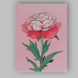 Elegant Pink Peony Botanical Flower Illustration Canvas Wall Art Print Decor Picture Ready to Hang