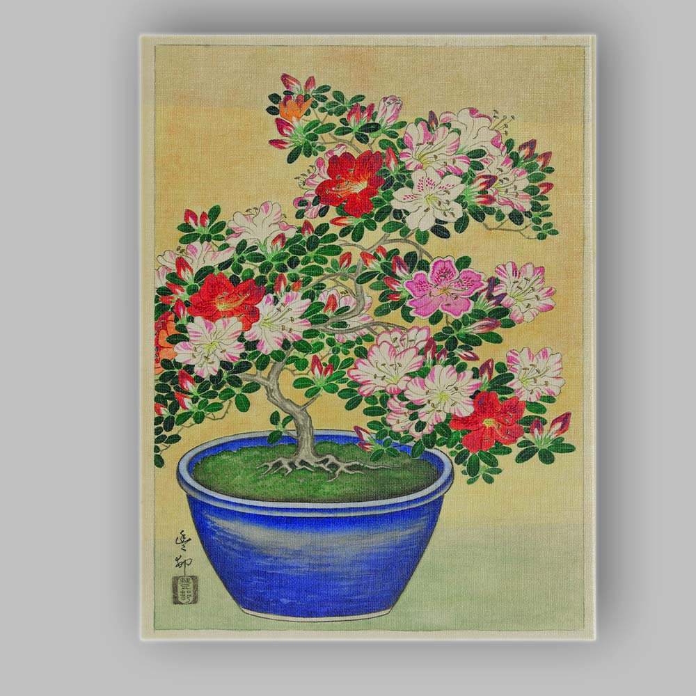 Japanese Azalea Bonsai Botanical Watercolour Illustration Canvas Wall Art Print Decor Picture Ready to Hang
