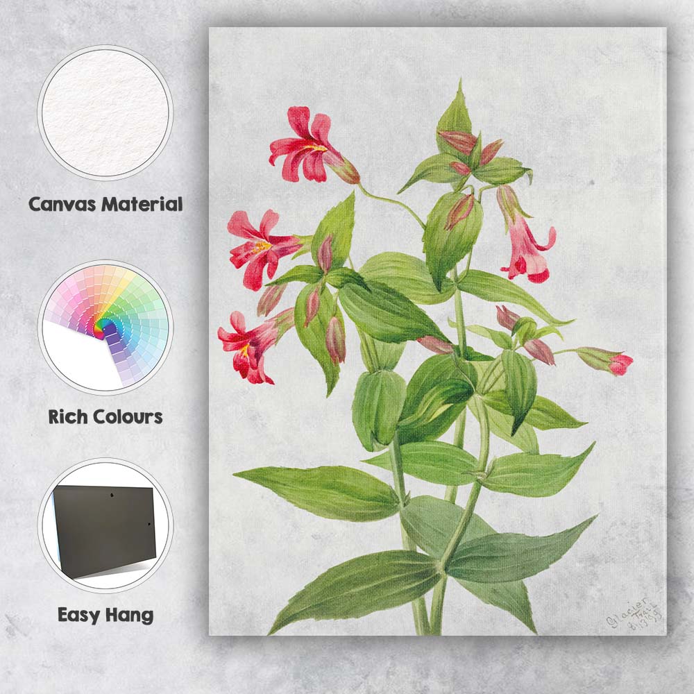 Pink Bellflower Botanical Watercolour Illustration Canvas Wall Art Print Decor Picture Ready to Hang