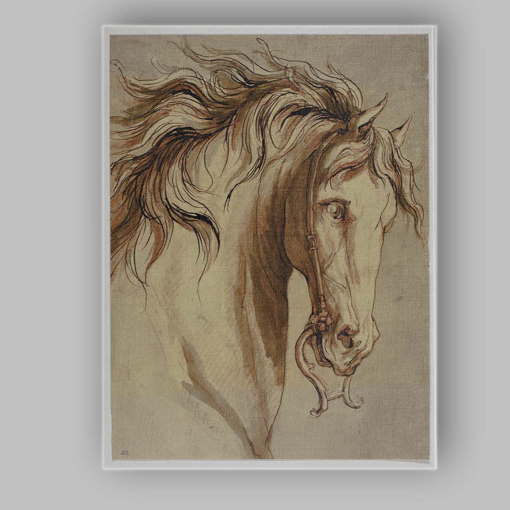Elegant Horse Head Portrait Equestrian Ink and Watercolour Canvas Wall Art Print Decor Picture Ready to Hang