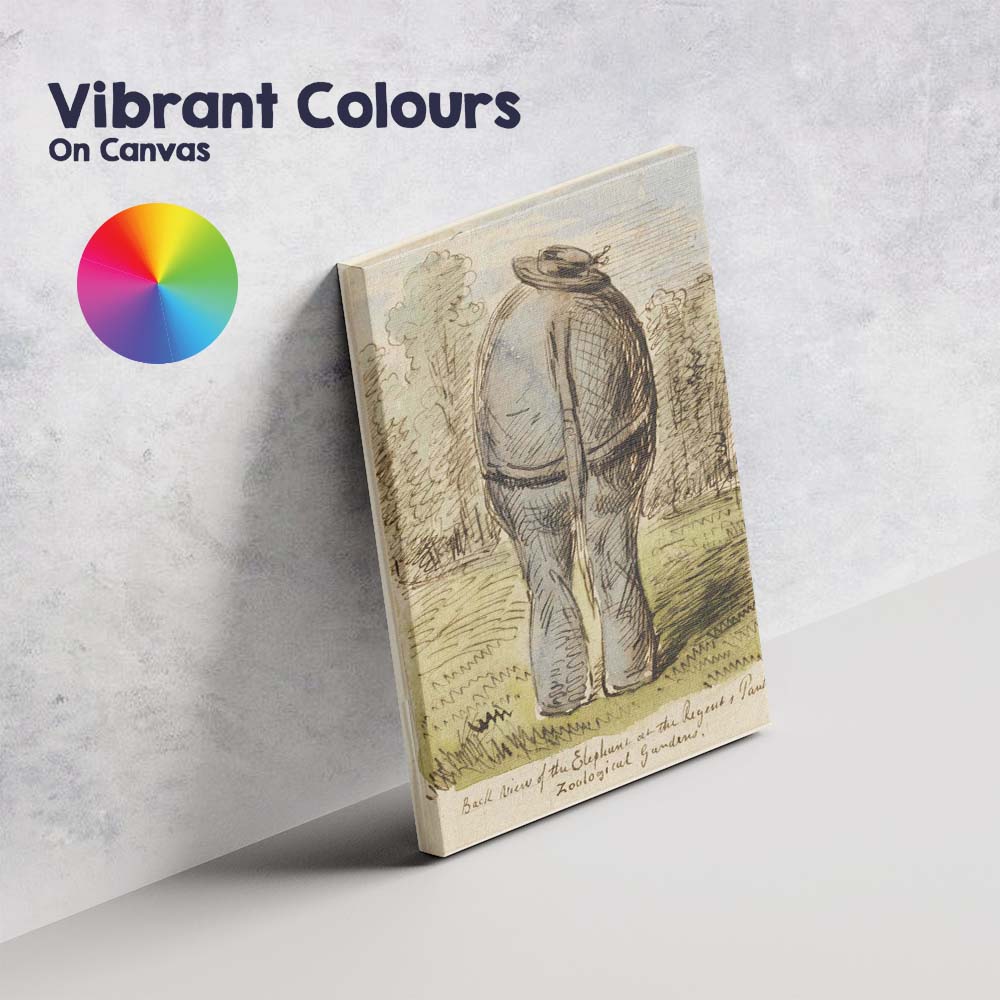Humorous Elephant Rear View Zoo Animal Sketch Watercolour Canvas Wall Art Print Decor Picture Ready to Hang