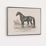 Rysdyks Hambletonian Champion Trotting Horse Antique Equestrian Portrait Canvas Wall Art Print Decor Picture Ready to Hang