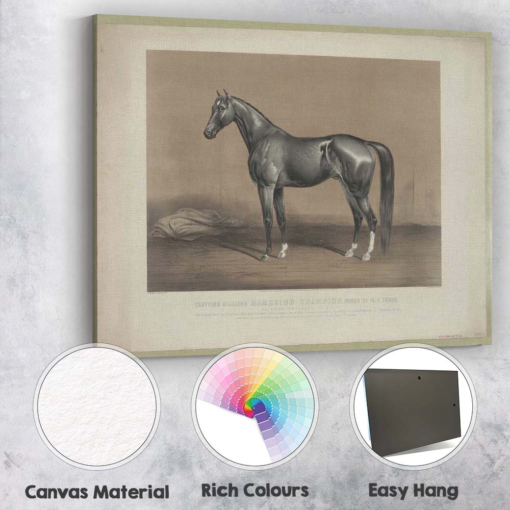 Champion Trotting Stallion Horse Study Antique Equestrian Portrait Canvas Wall Art Print Decor Picture Ready to Hang