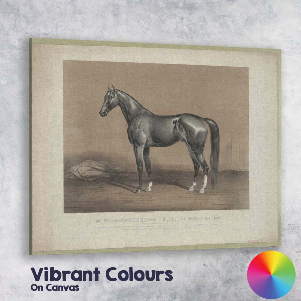 Champion Trotting Stallion Horse Study Antique Equestrian Portrait Canvas Wall Art Print Decor Picture Ready to Hang