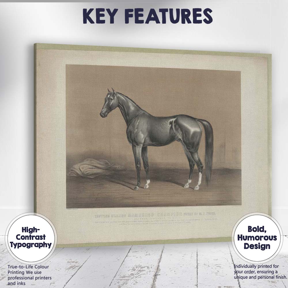Champion Trotting Stallion Horse Study Antique Equestrian Portrait Canvas Wall Art Print Decor Picture Ready to Hang