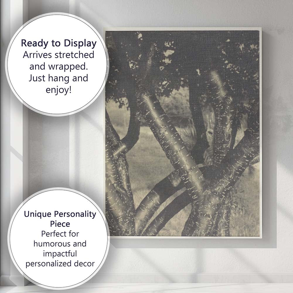 Monochrome Tree Trunks Botanical Nature Photography Canvas Wall Art Print Decor Picture Ready to Hang