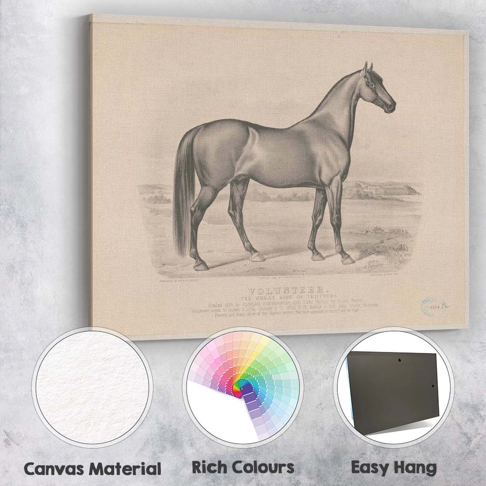 Volunteer Champion Trotting Horse Equestrian Portrait Antique Engraving Canvas Wall Art Print Decor Picture Ready to Hang