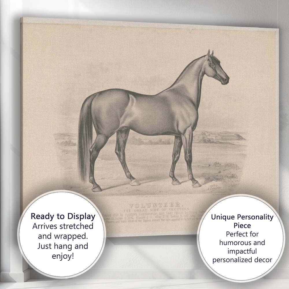 Volunteer Champion Trotting Horse Equestrian Portrait Antique Engraving Canvas Wall Art Print Decor Picture Ready to Hang