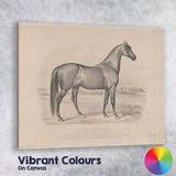 Volunteer Champion Trotting Horse Equestrian Portrait Antique Engraving Canvas Wall Art Print Decor Picture Ready to Hang