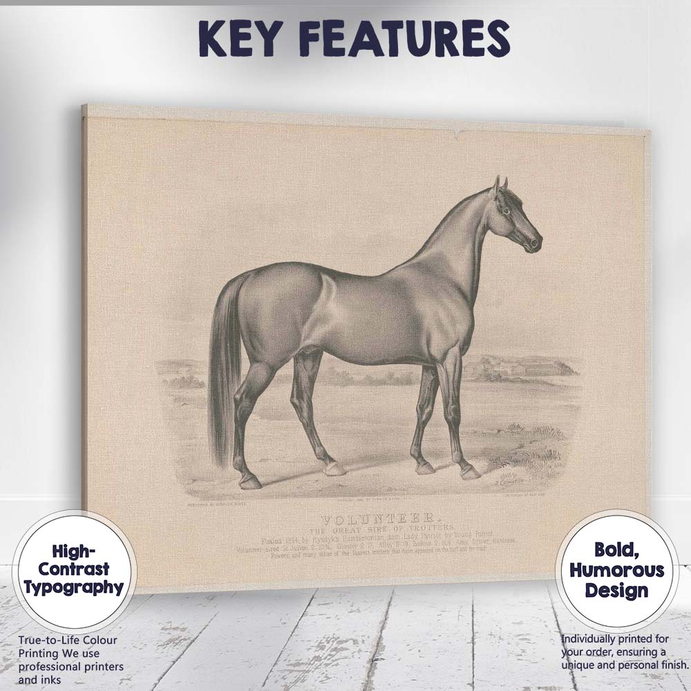 Volunteer Champion Trotting Horse Equestrian Portrait Antique Engraving Canvas Wall Art Print Decor Picture Ready to Hang