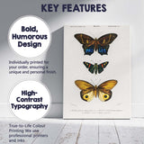 Colourful Exotic Moth Collection Antique Entomology Illustration Canvas Wall Art Print Decor Picture Ready to Hang