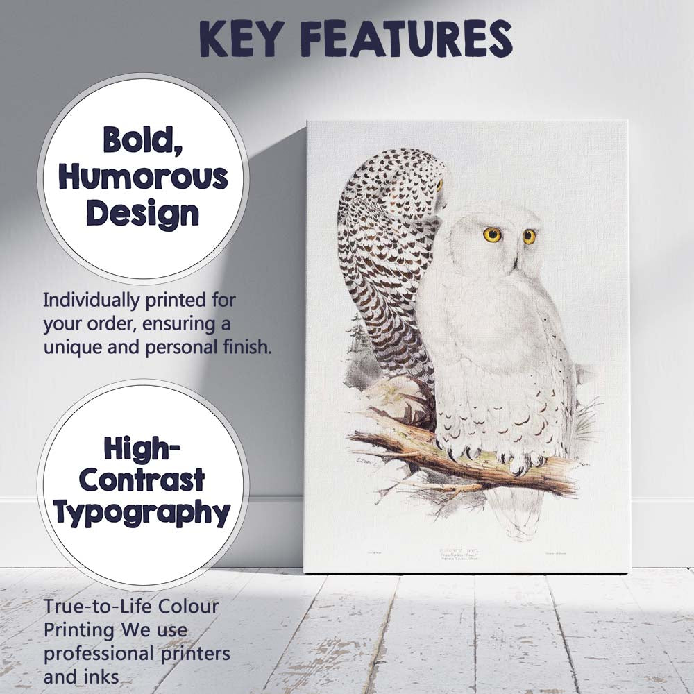 Elegant Snowy Owl Pair Wildlife Natural History Illustration Canvas Wall Art Print Decor Picture Ready to Hang
