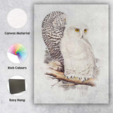 Elegant Snowy Owl Pair Wildlife Natural History Illustration Canvas Wall Art Print Decor Picture Ready to Hang