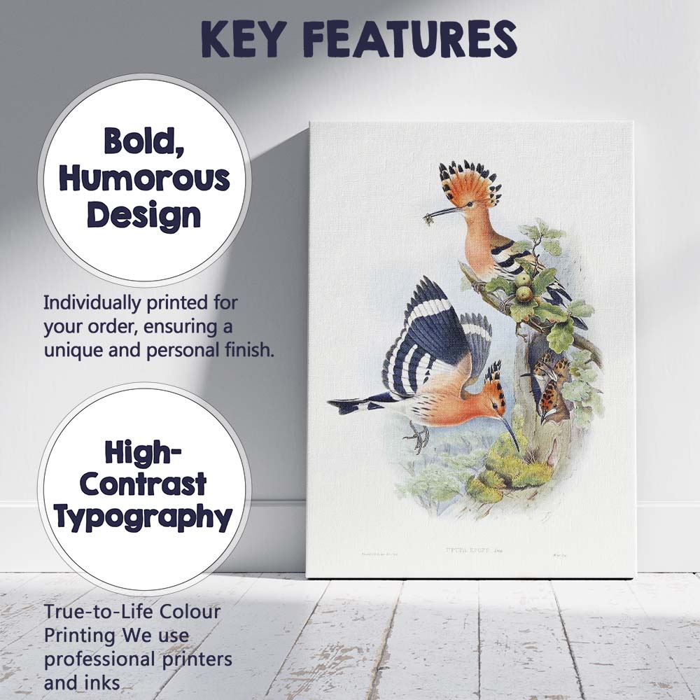 Colourful Hoopoe Bird Family Botanical Wildlife Illustration Canvas Wall Art Print Decor Picture Ready to Hang