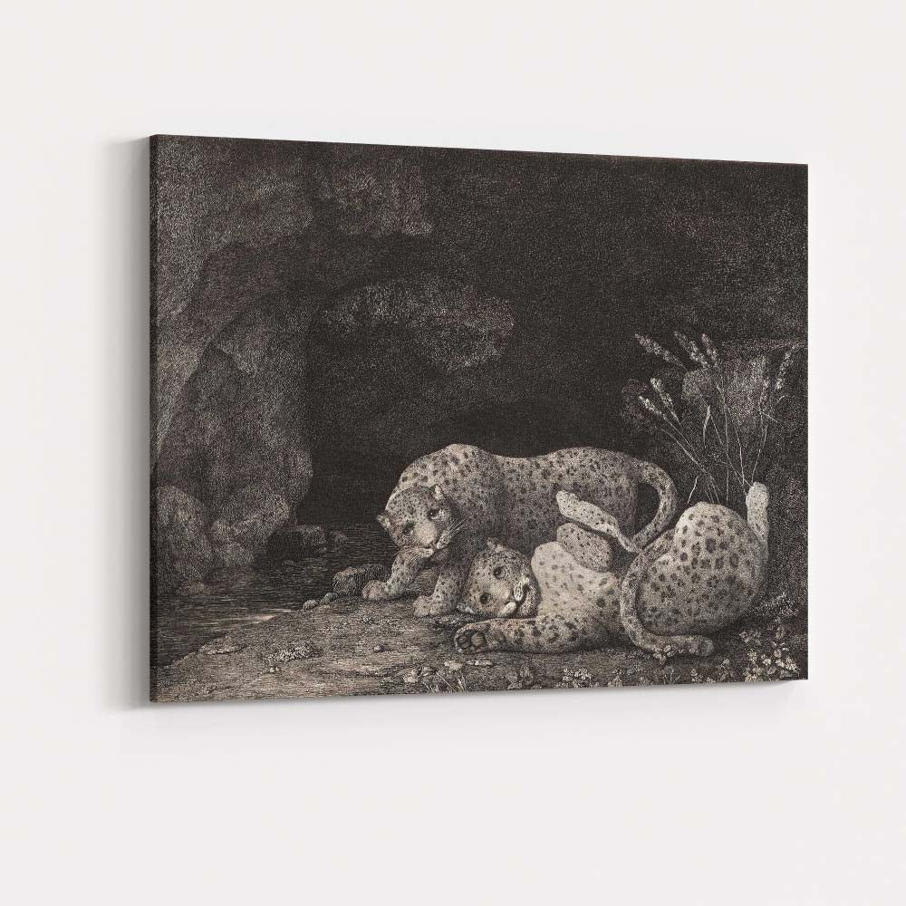 Pair Of Leopards Resting By Cave Antique Wildlife Engraving Canvas Wall Art Print Decor Picture Ready to Hang