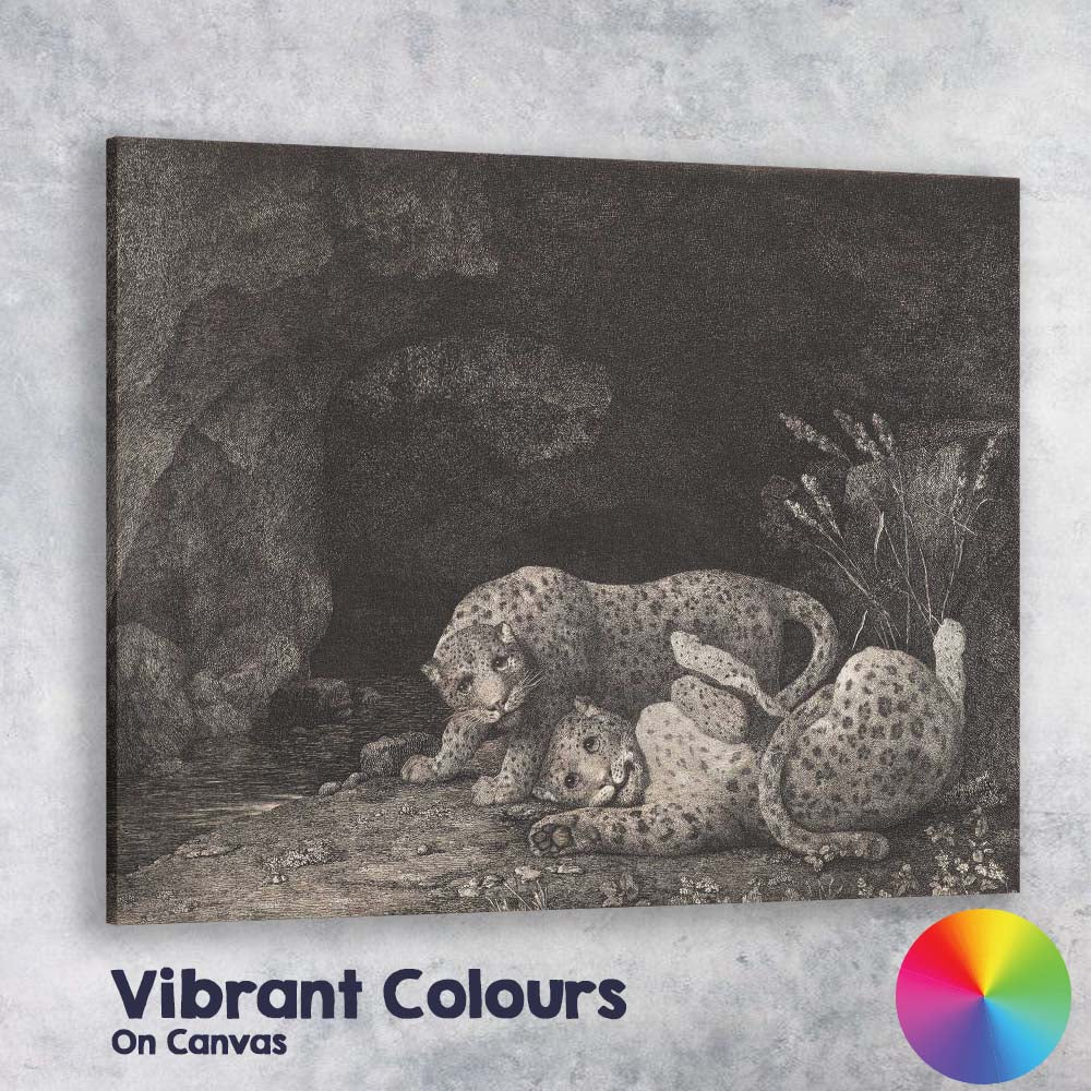 Pair Of Leopards Resting By Cave Antique Wildlife Engraving Canvas Wall Art Print Decor Picture Ready to Hang