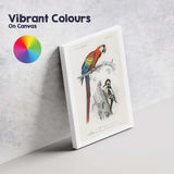 Colourful Scarlet Macaw And Woodpecker Natural History Bird Illustration Canvas Wall Art Print Decor Picture Ready to Hang