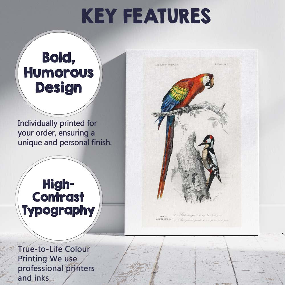 Colourful Scarlet Macaw And Woodpecker Natural History Bird Illustration Canvas Wall Art Print Decor Picture Ready to Hang