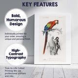 Colourful Scarlet Macaw And Woodpecker Natural History Bird Illustration Canvas Wall Art Print Decor Picture Ready to Hang