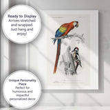 Colourful Scarlet Macaw And Woodpecker Natural History Bird Illustration Canvas Wall Art Print Decor Picture Ready to Hang
