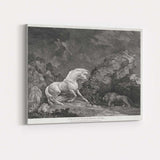 Rearing White Horse Confronting Lion Dramatic Antique Engraving Canvas Wall Art Print Decor Picture Ready to Hang