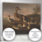 Mother Duck And Ducklings Lakeside Nature Scene Canvas Wall Art Print Decor Picture Ready to Hang