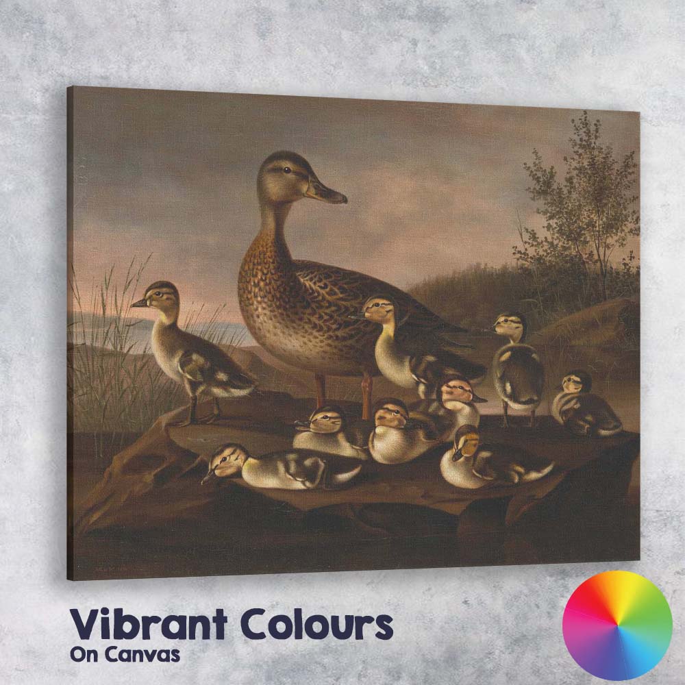 Mother Duck And Ducklings Lakeside Nature Scene Canvas Wall Art Print Decor Picture Ready to Hang