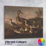 Mother Duck And Ducklings Lakeside Nature Scene Canvas Wall Art Print Decor Picture Ready to Hang