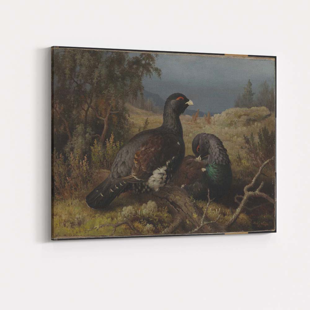 Pair Of Black Grouse In Highland Moorland Landscape Canvas Wall Art Print Decor Picture Ready to Hang