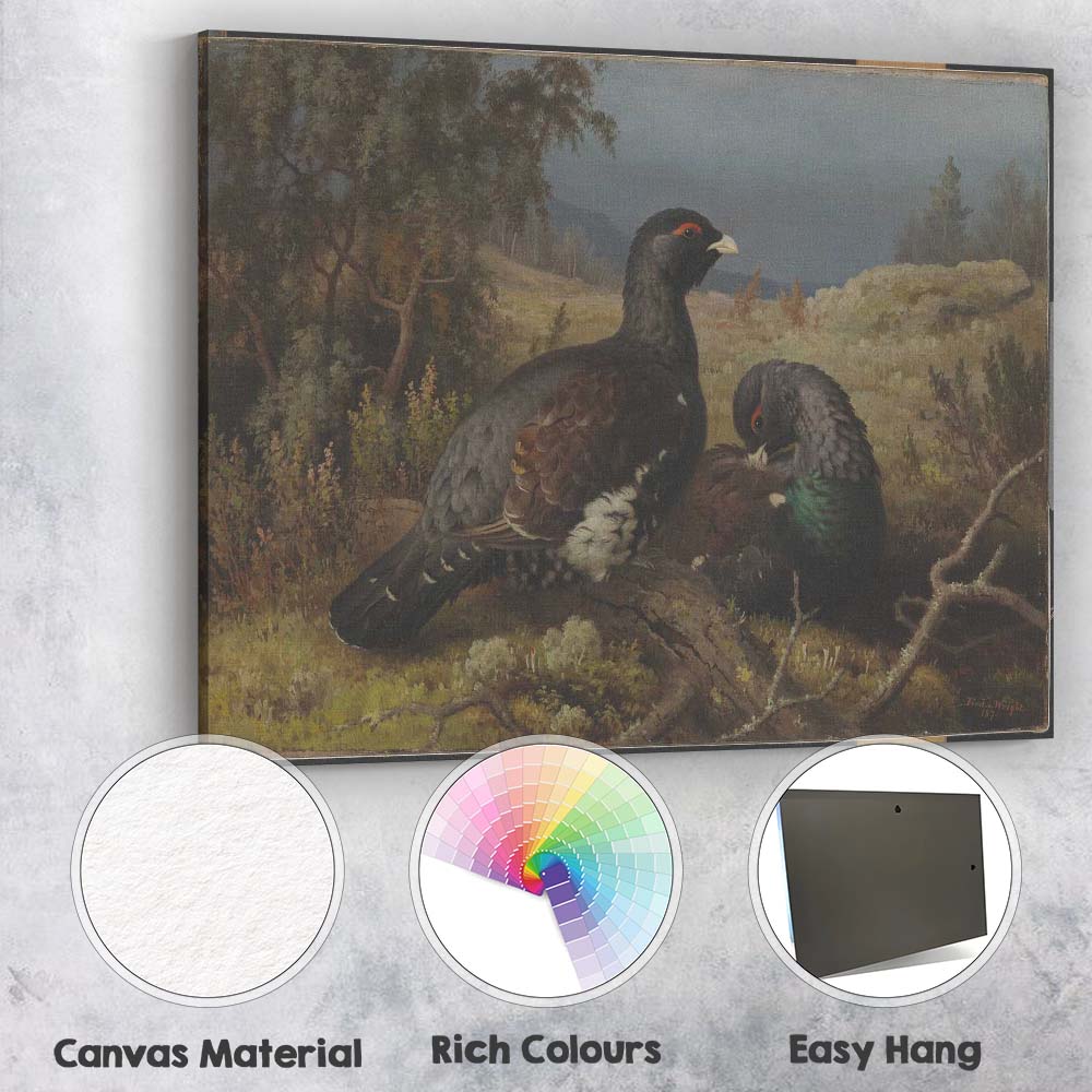 Pair Of Black Grouse In Highland Moorland Landscape Canvas Wall Art Print Decor Picture Ready to Hang