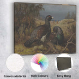 Pair Of Black Grouse In Highland Moorland Landscape Canvas Wall Art Print Decor Picture Ready to Hang
