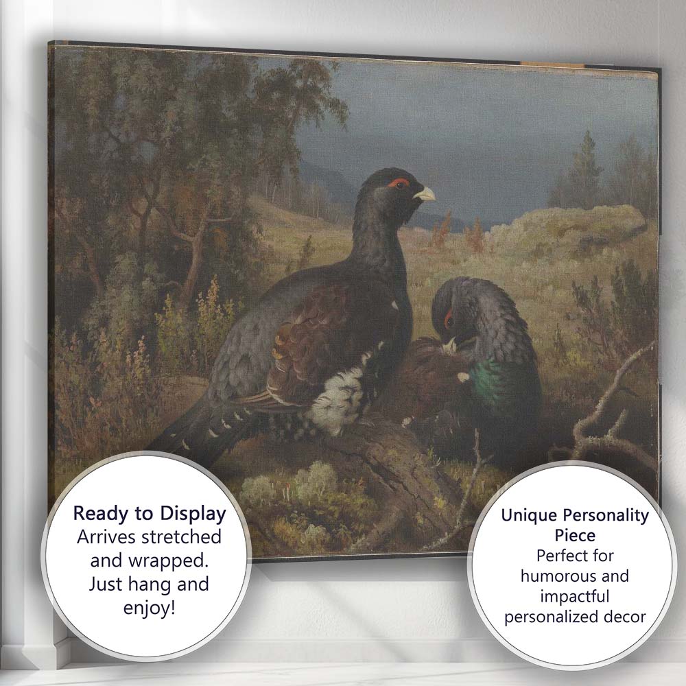 Pair Of Black Grouse In Highland Moorland Landscape Canvas Wall Art Print Decor Picture Ready to Hang