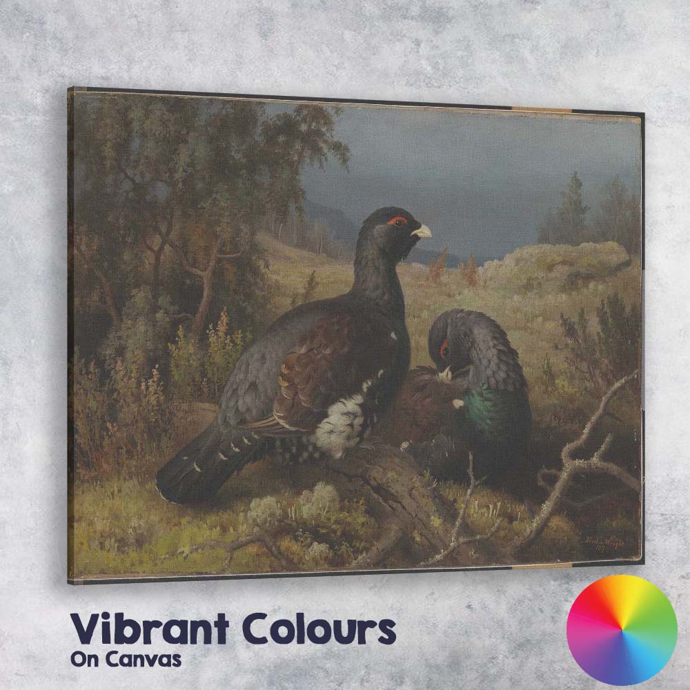 Pair Of Black Grouse In Highland Moorland Landscape Canvas Wall Art Print Decor Picture Ready to Hang