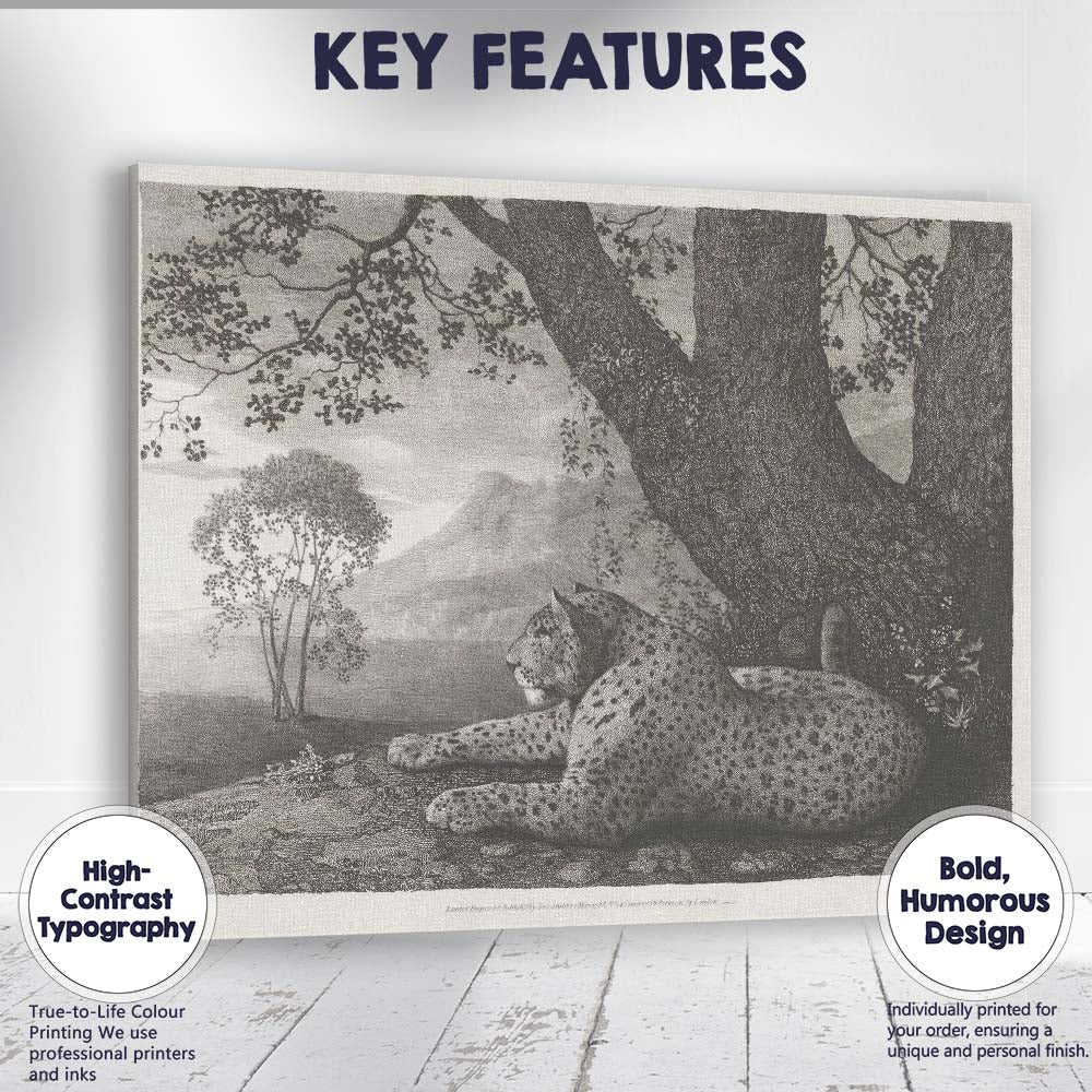 Resting Cheetah Beneath Ancient Tree Monochrome Wildlife Engraving Canvas Wall Art Print Decor Picture Ready to Hang