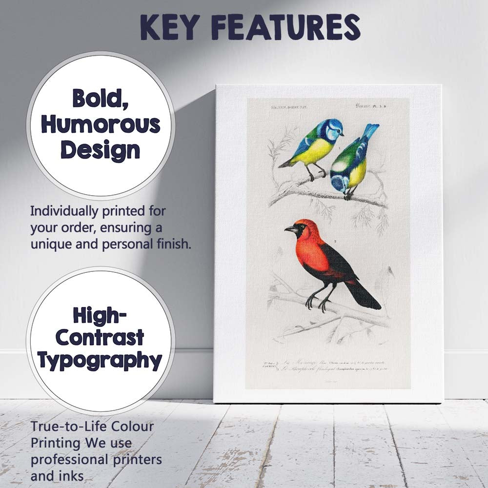 Colourful Blue Tit And Scarlet Bird Natural History Illustration Canvas Wall Art Print Decor Picture Ready to Hang