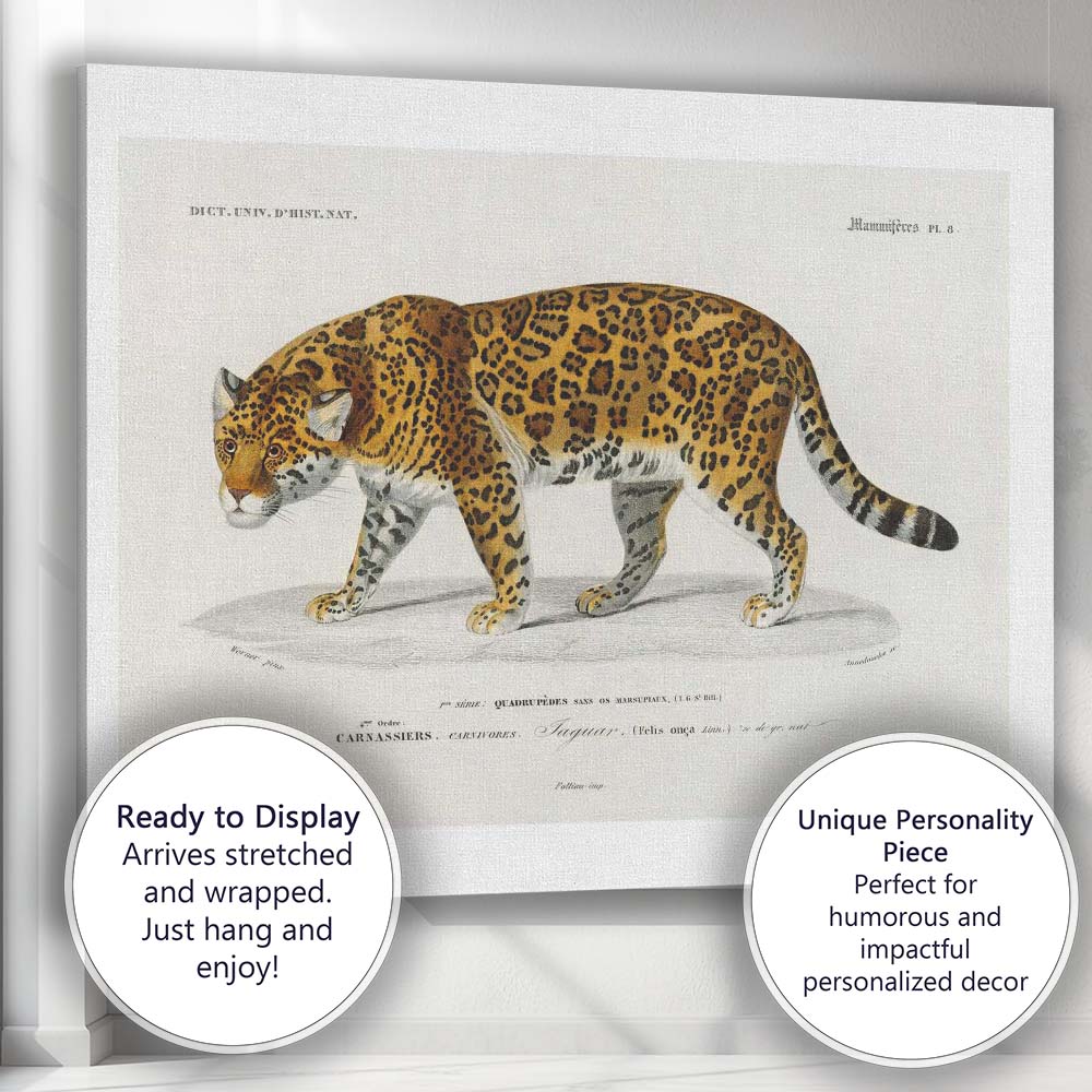 Antique Jaguar Wildlife Illustration Exotic Big Cat Art Canvas Wall Art Print Decor Picture Ready to Hang