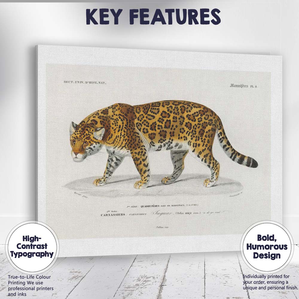 Antique Jaguar Wildlife Illustration Exotic Big Cat Art Canvas Wall Art Print Decor Picture Ready to Hang