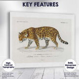 Antique Jaguar Wildlife Illustration Exotic Big Cat Art Canvas Wall Art Print Decor Picture Ready to Hang