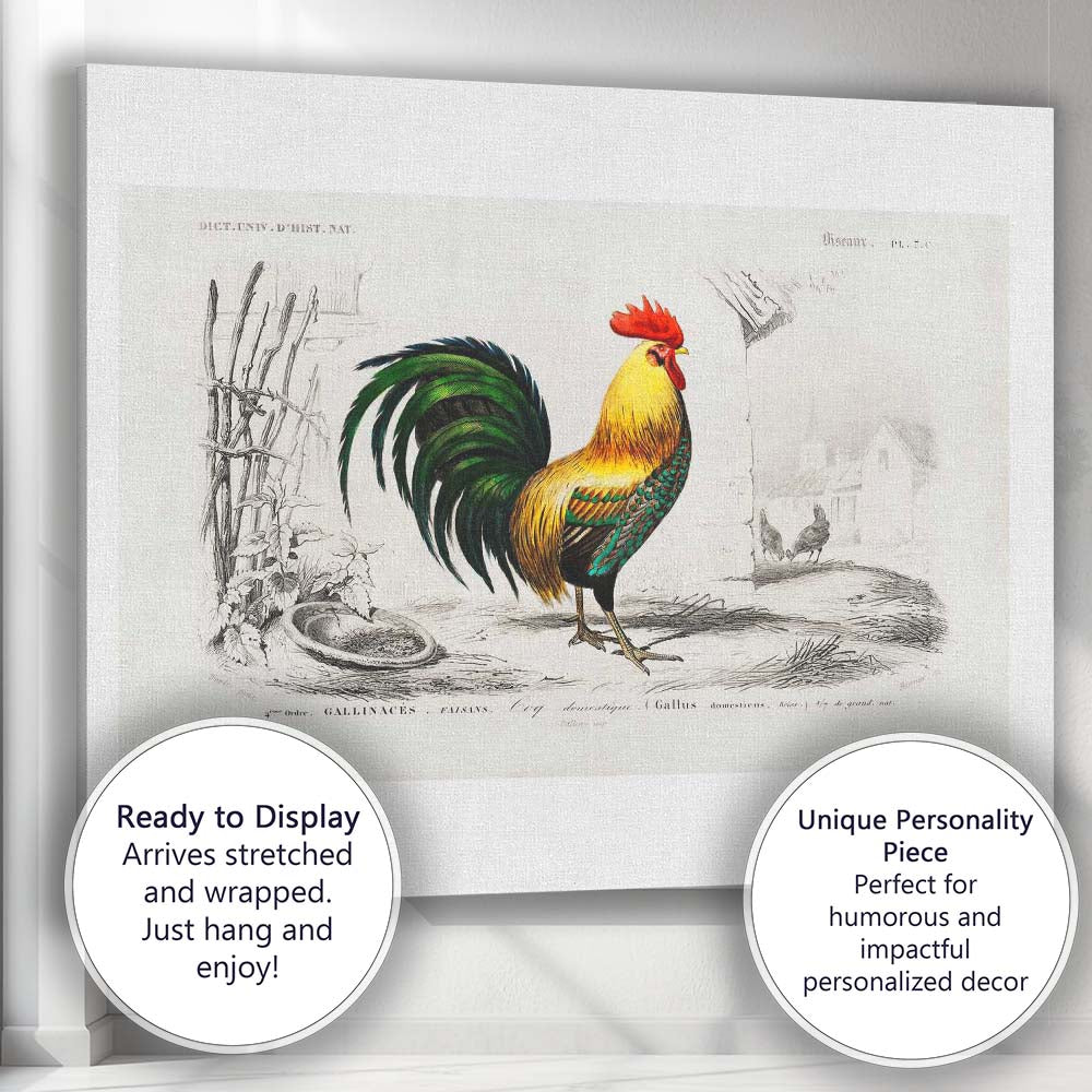 Traditional Cockerel Farmyard Bird Engraving Colour Illustration Canvas Wall Art Print Decor Picture Ready to Hang